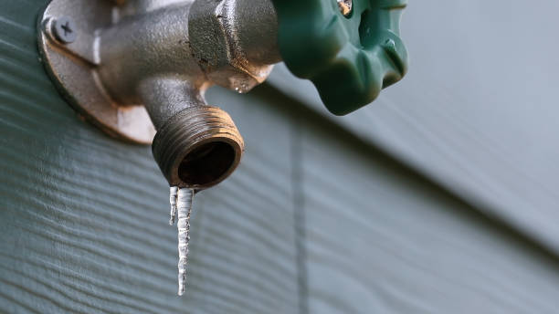 Best Plumbing Inspection Services  in Needles, CA